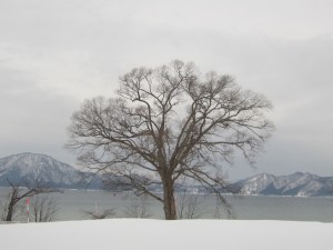 2015.2.22夕