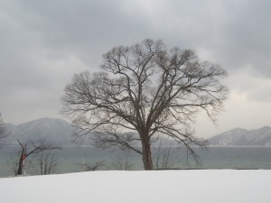 2015.2.23