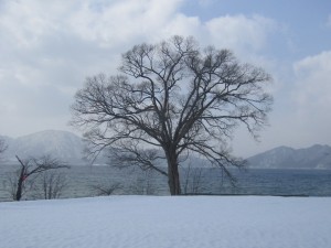 2015.2.24