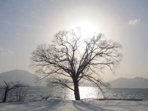 2015.2.24夕