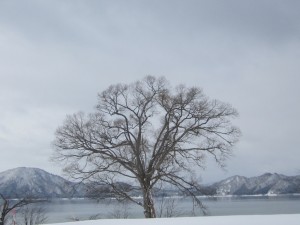 2015.2.3