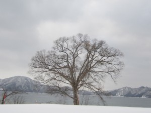 2015.2.3夕