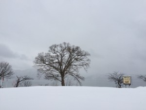 2015.2.4
