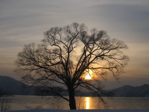 2015.2.7夕