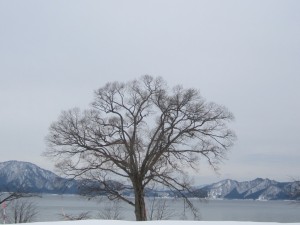 2015.2.8