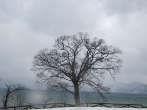 2015.3.10