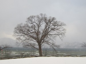 2015.3.10夕