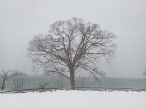 2015.3.12