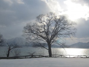 2015.3.14夕