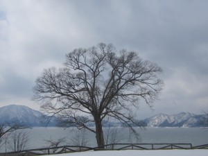 2015.3.15