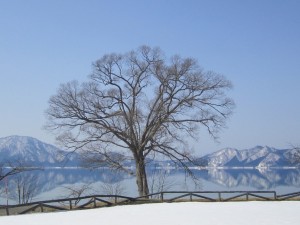 2015.3.17
