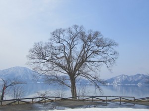2015.3.21