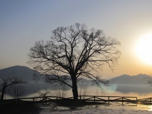 2015.3.21夕