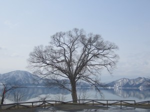 2015.3.22