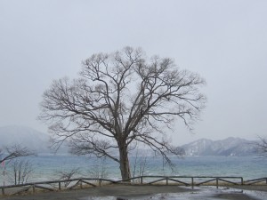2015.3.23
