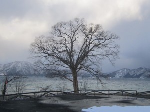 2015.3.23夕