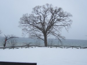 2015.3.24