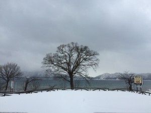 2015.3.25