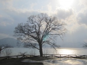 2015.3.27夕