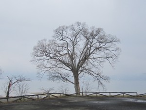 2015.3.30