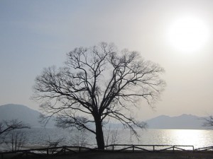 2015.3.31夕