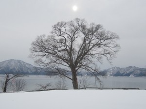 2015.3.3夕