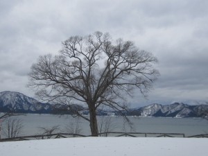 2015.3.9