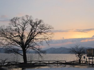 IMG_4490