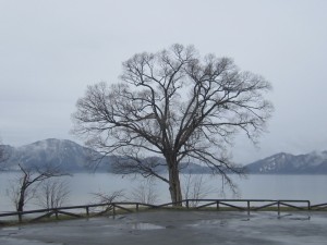 2015.4.11