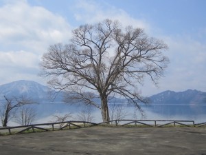 2015.4.12