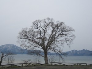 2015.4.13夕