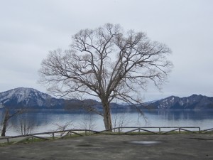 2015.4.14