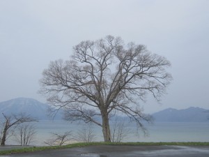 2015.4.20