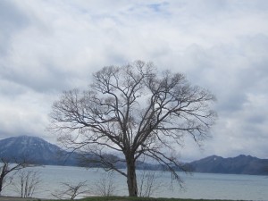 2015.4.21
