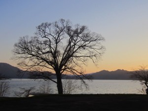 2015.4.23夕