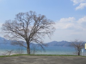 2015.4.24
