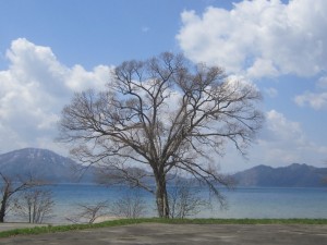 2015.4.25