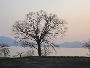 2015.4.27夕