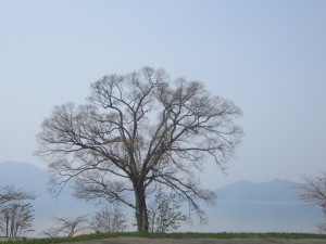 2015.4.28