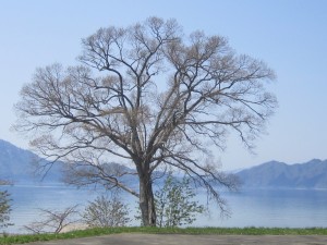 2015.4.29