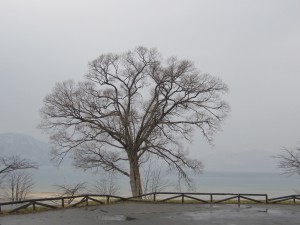 2015.4.3