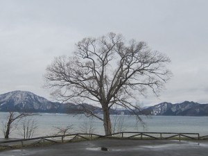2015.4.5