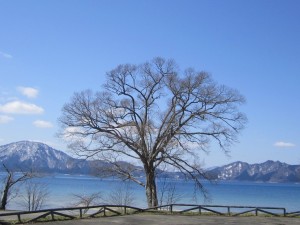 2015.4.9