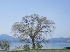 2014.5.1