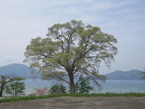2015.5.07