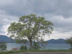 2015.5.10