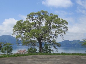 2015.5.11