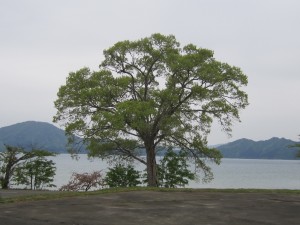 2015.5.12