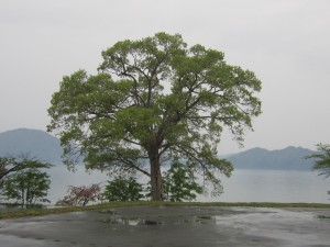 2015.5.12夕