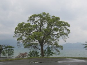 2015.5.13